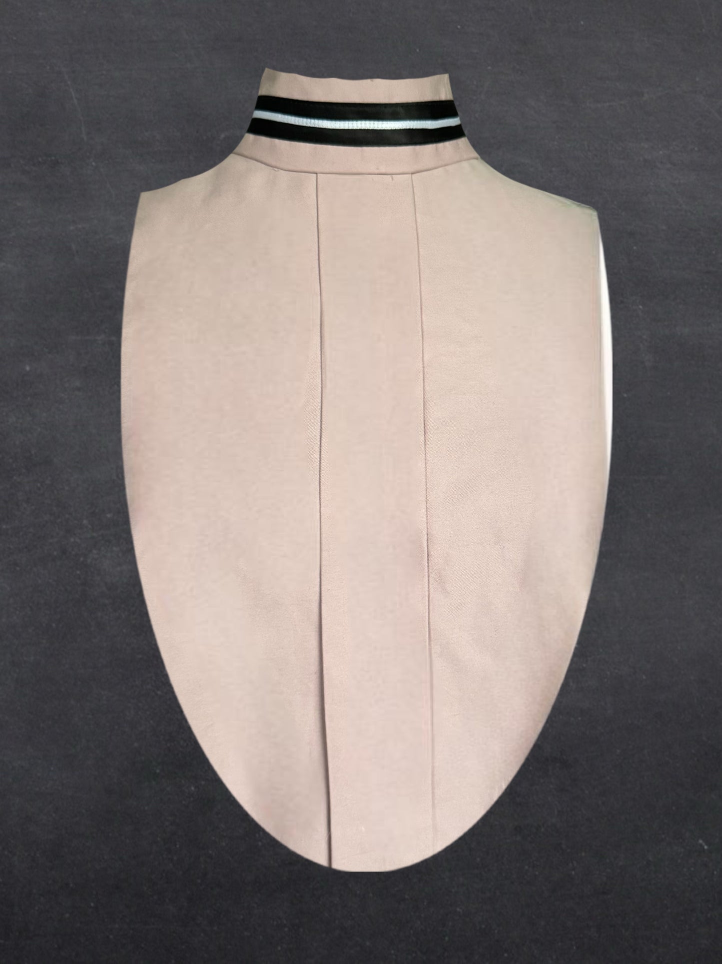 Reversible Dickie Hunt Seat Horse Show Collar